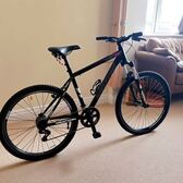 Mountain bike, well used